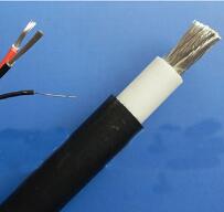 WDZ-DCK，WDZ-DCKP-125，DCEVM機車電纜